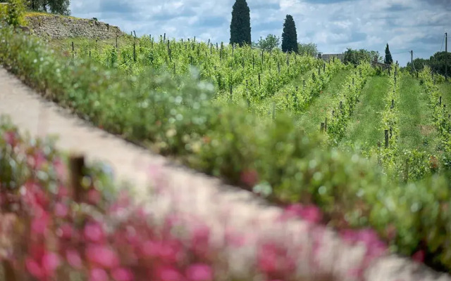 Luxury Chianti With two Bedrooms