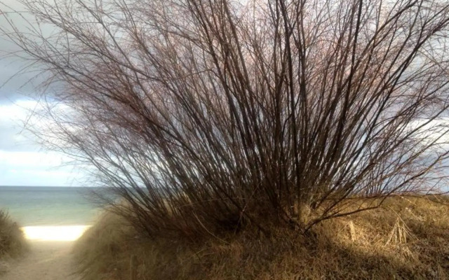 Ferienhaus Alessandra