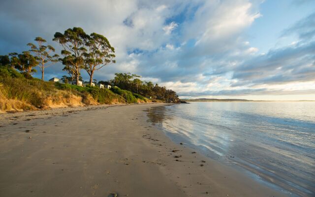 Swansea Beach Chalets
