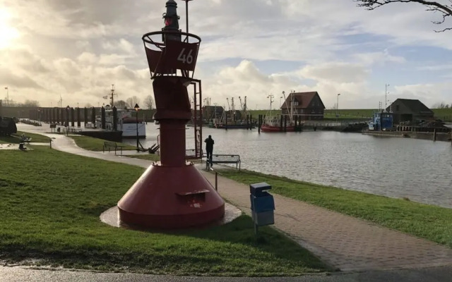 Frog Prince Modern Retreat