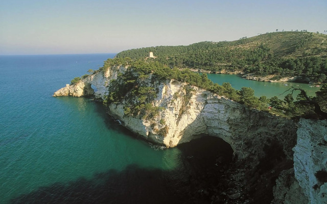 Degli Aranci