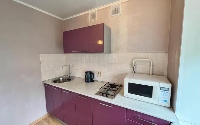 Апартаменты на проспекте Ленина 33А