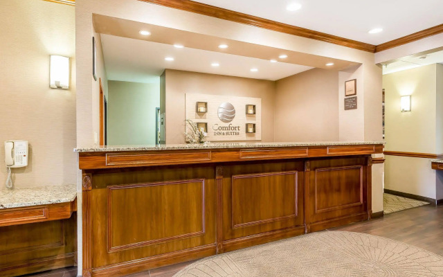 Comfort Inn & Suites
