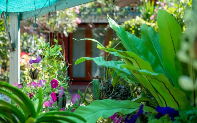 Thai Smile Bungalow