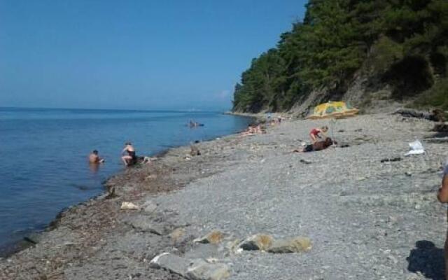 Гостевой Дом Дикий Берег