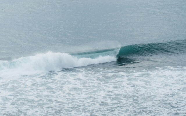 Blue Ocean Bingin