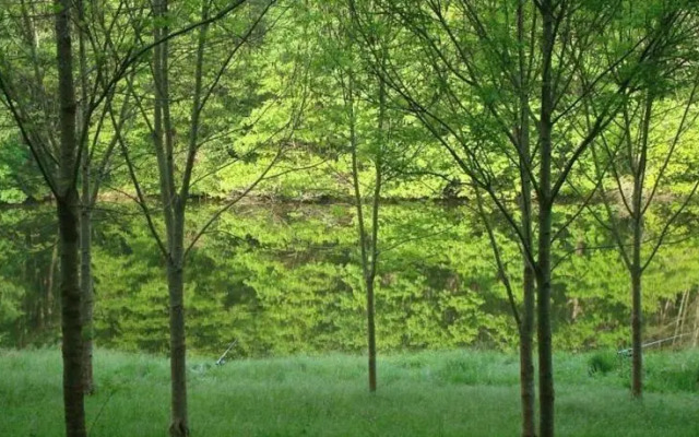 Domaine le Haut Verger