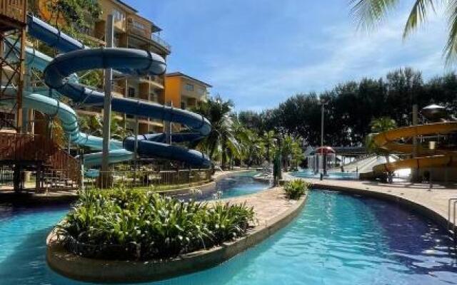Gold Coast Morib @ 3346