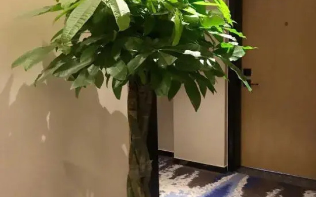 Jiayi Boutique Hotel (Jinan Jiyang Bus Terminal)