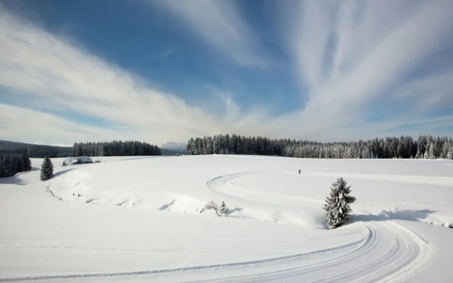 Gasthaus zum Hirschen