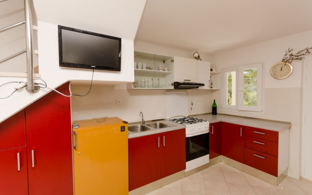 House Ancica