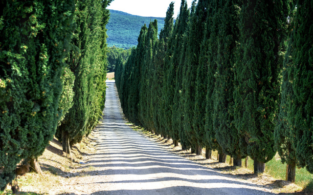 Borgo di Pietrafitta Relais