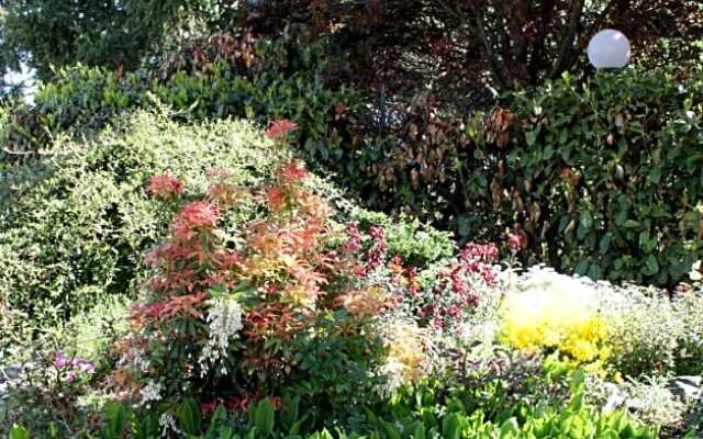 B&B Villa Cardellini