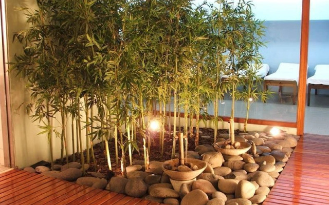 Castelar Hotel & Spa