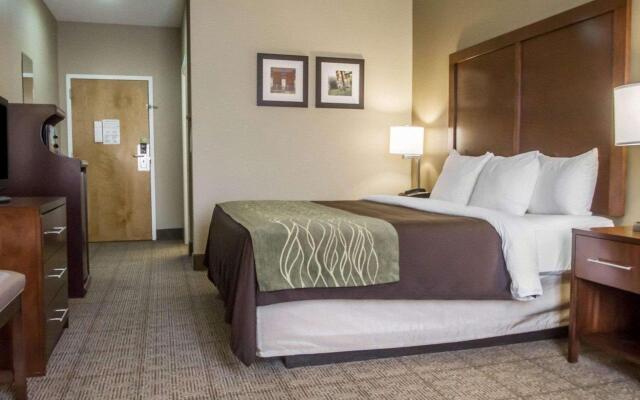 Comfort Inn Amite
