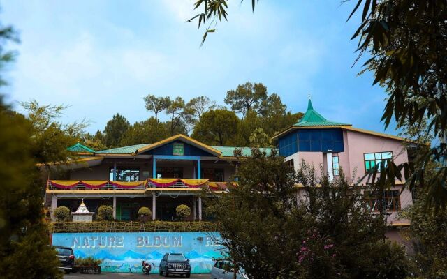 Nature Bloom Dharamshala Hotel and Resort