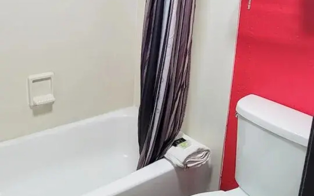 Flex Studios Culebra
