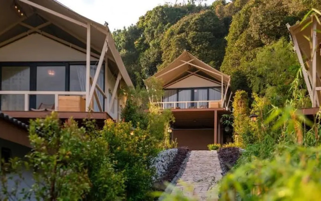 Zen By Stellar Cameron