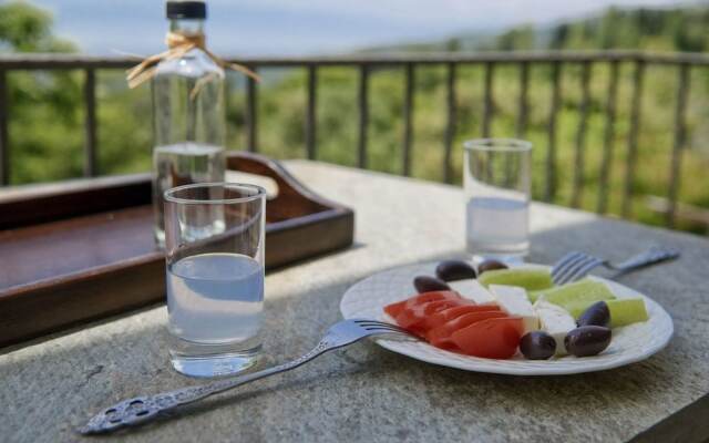 Villa AGROKIPIO at Milies of Mt. Pelion