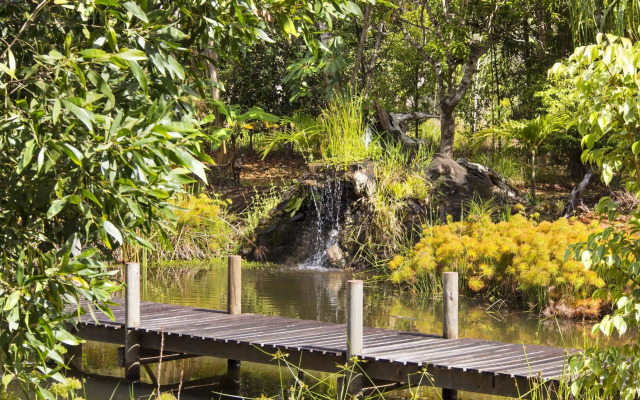 Cedar Park Rainforest Resort