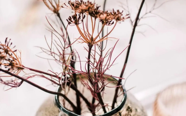 Royal Koetshuis New in Stadsvilla