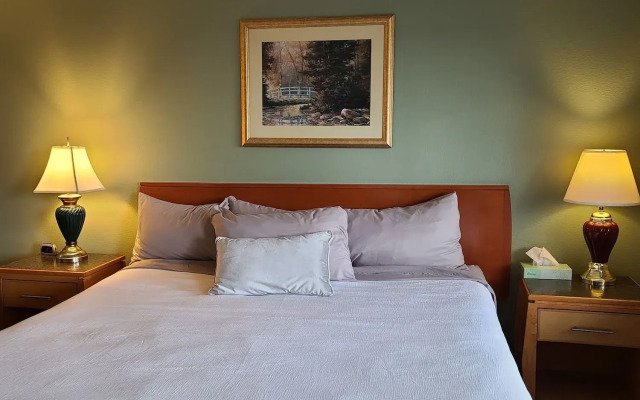 Tulip Inn