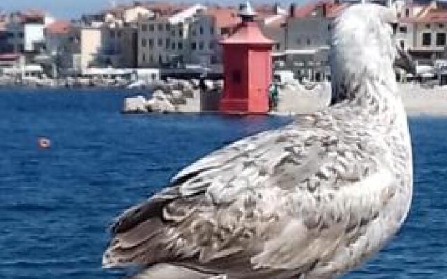 Apartments Piran