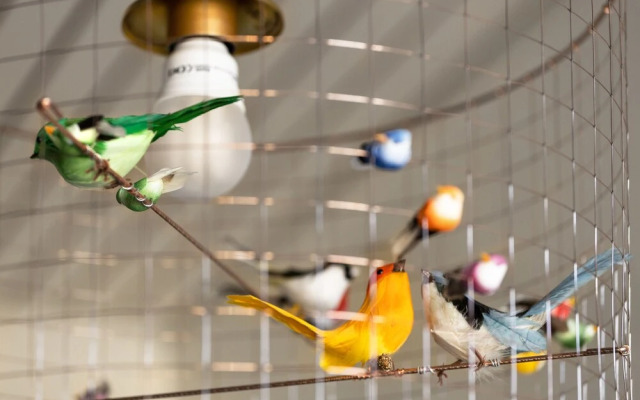 WeHost Punavuorenkatu 4 A 17