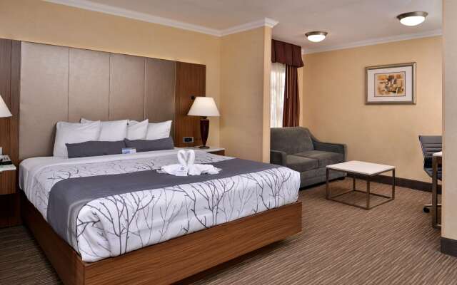 Best Western Hollywood Plaza Inn Hotel - Hollywood Walk of Fame LA