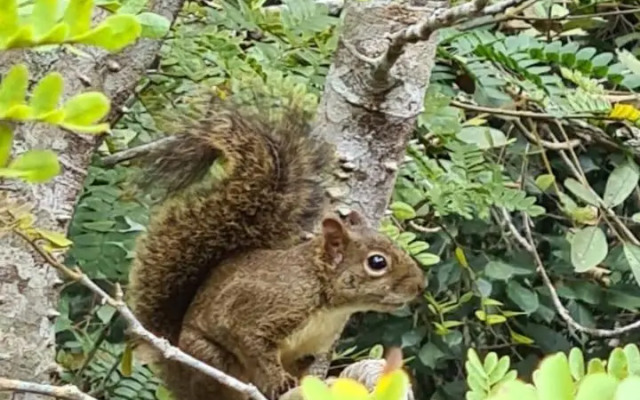 Urikana Boutique Hotel