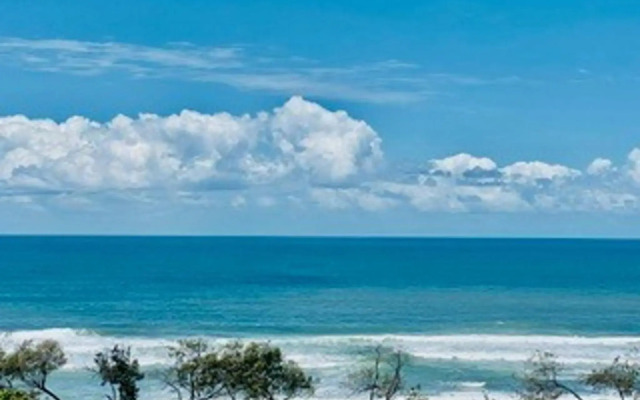 Elouera Tower Beachfront Apartments