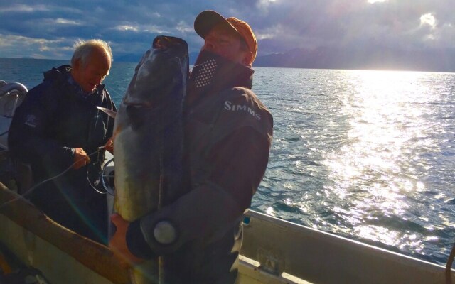 Villa Leknes Lofoten