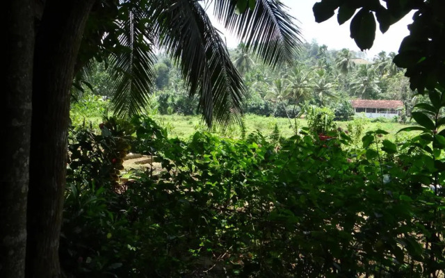 Rural Jungle Backpackers Hostel