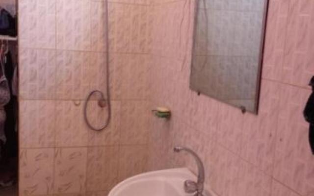 Le Lion Des Flandres