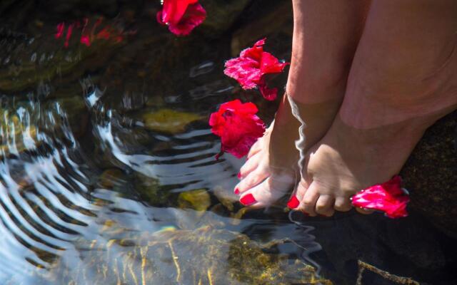 Evaan Resorts The Foliage