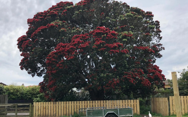 @Taradise-Opunake - eco-friendly Coastal hideaway