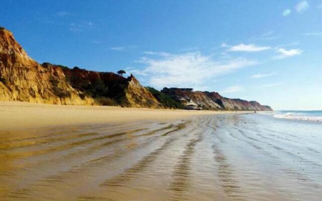 Magnifique appartement a 400 metre des plages