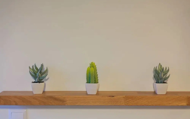 Upscale Modern Escape in the Historic Center