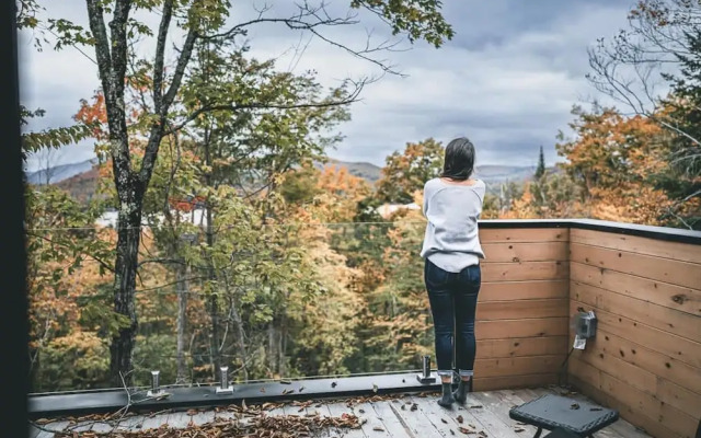 Warm Cabin in Nature With spa Sauna Citq 309153