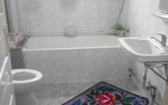 Pensiunea Ana Orghici