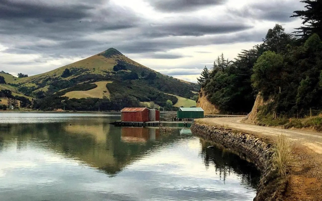Otago Peninsula Paradise