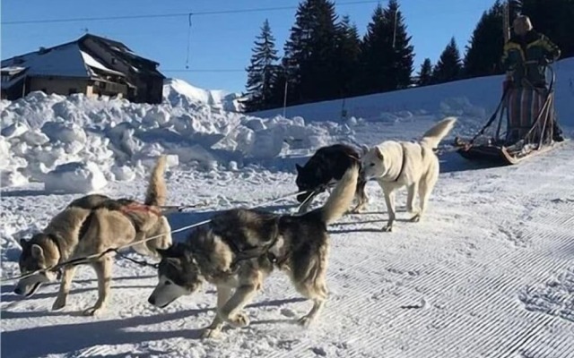Résidence Les Blanches Provençales
