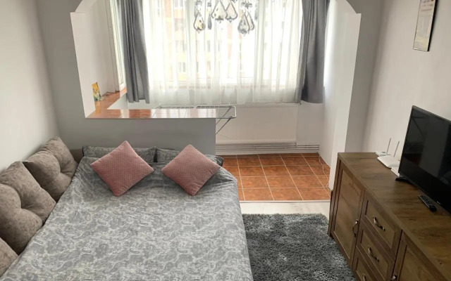 Bulevardul Mihai Viteazul Apartament