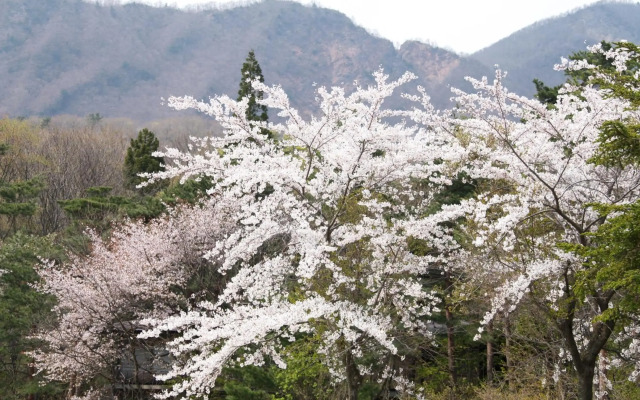 Matsukaneya Annex