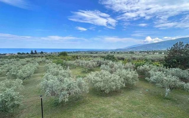 Zeusplace Olympus Olive Country House 4