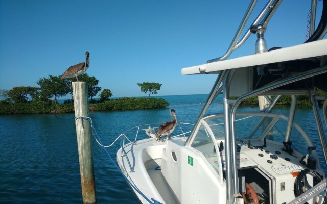 Conch Key Fishing Lodge and Marina