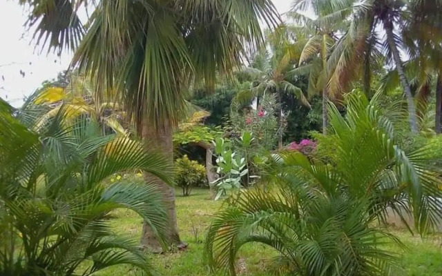 Mwezi Nyota