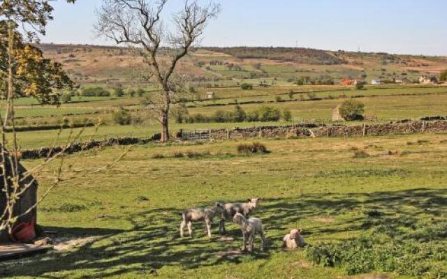 Moorland View Farm B&B