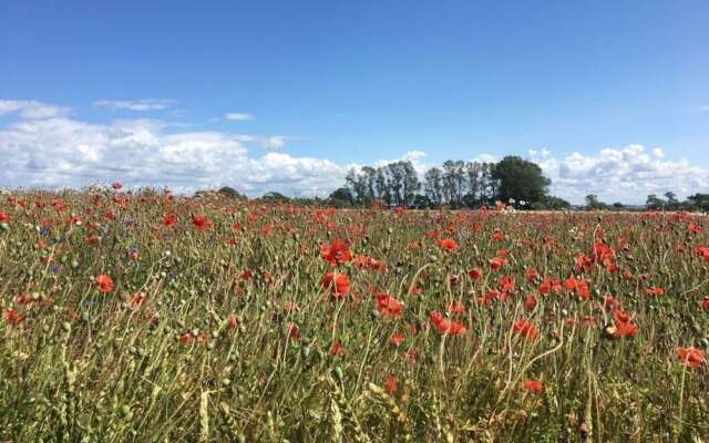 Baltic Sea Dromelhus