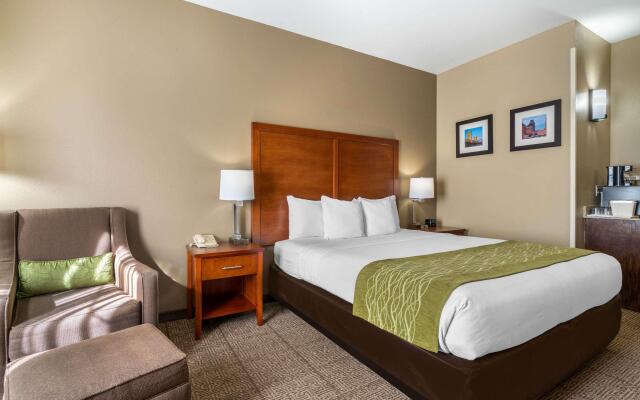 Comfort Inn & Suites Sacramento - University Area